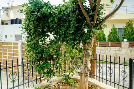Sun By The Sea 2 Appartement Agia Pelagia  Buitenkant foto